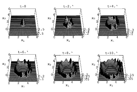 Institute of Applied Mathematics – Picture: Simulation of the spread of an invasive tumor with a necrotic nucleus: Example of a diffuse, age-structured population (Image: Walker, Webb)